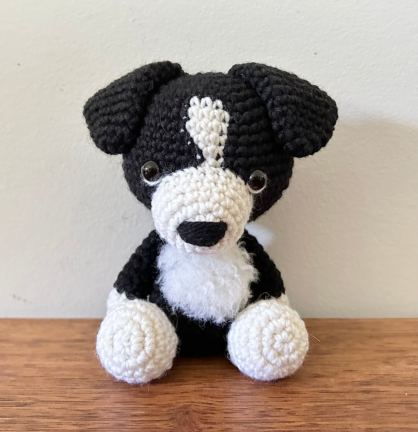 Benji the Border Collie