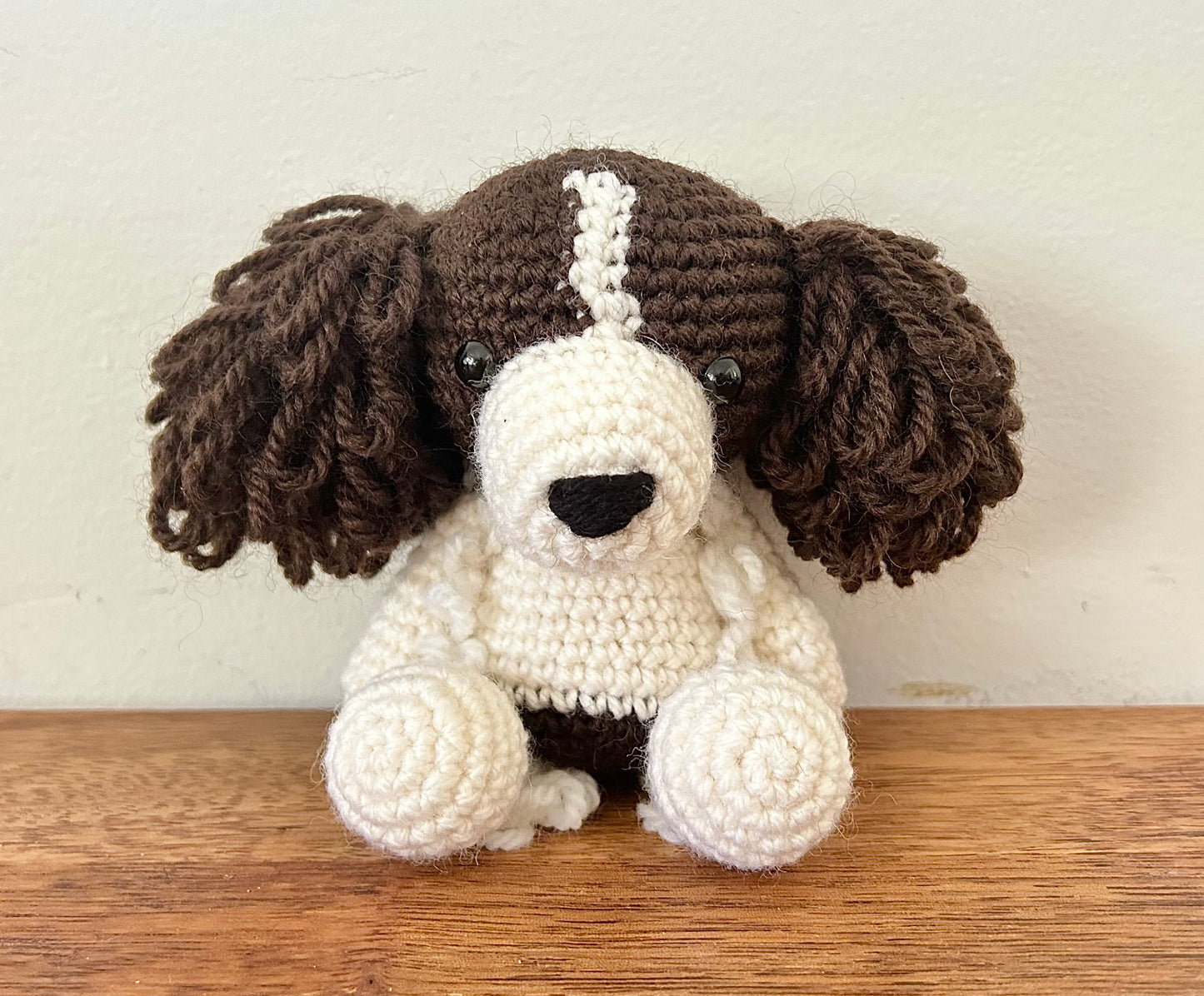 Sally the Springer Spaniel