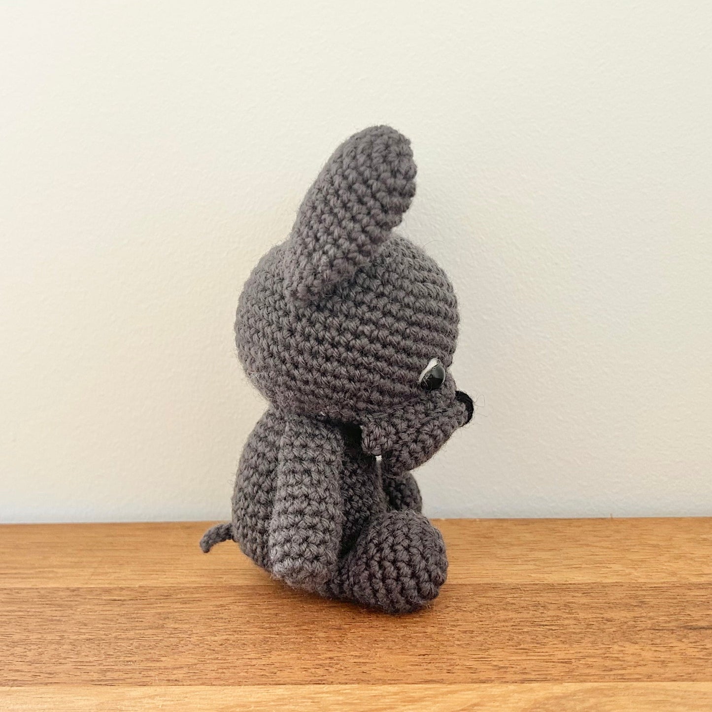 Frankie the French Bulldog